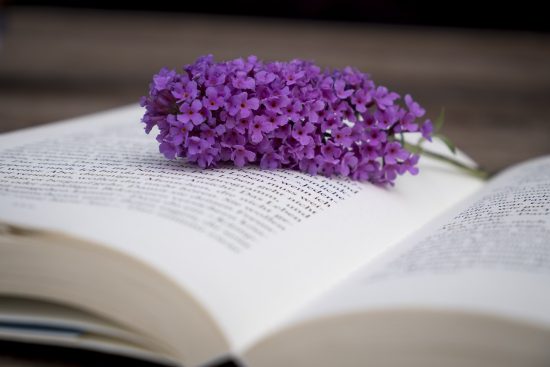 découvrez les principes de la pédagogie active, une approche éducative dynamique qui favorise l'engagement des apprenants et l'apprentissage par l'expérience. transformez vos méthodes d'enseignement pour stimuler la participation et l'autonomie des étudiants.