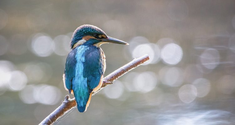 découvrez comment réussir vos ventes en ligne avec des stratégies éprouvées, des astuces marketing efficaces et des conseils pour booster votre chiffre d'affaires sur les plateformes numériques.