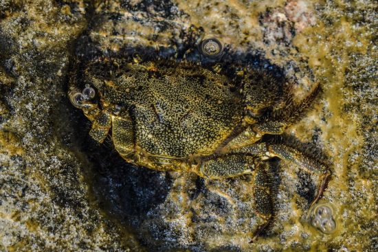 découvrez comment l'adaptation joue un rôle crucial dans notre capacité à évoluer et à faire face aux défis de notre environnement. explorez les différentes formes d'adaptation, que ce soit dans la nature, la croissance personnelle ou les changements sociétaux.