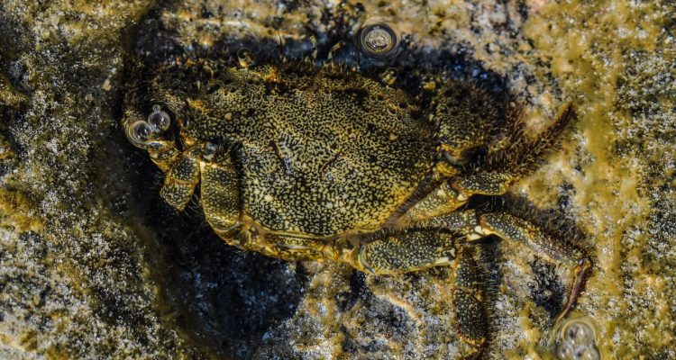 découvrez comment l'adaptation joue un rôle crucial dans notre capacité à évoluer et à faire face aux défis de notre environnement. explorez les différentes formes d'adaptation, que ce soit dans la nature, la croissance personnelle ou les changements sociétaux.