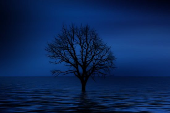 découvrez les principes fondamentaux de la psychologie de l'apprentissage, explorez comment les individus acquièrent et traitent les connaissances, et comprenez l'impact des théories psychologiques sur l'éducation et la formation.