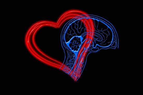 découvrez l'intelligence émotionnelle : un atout essentiel pour améliorer vos relations, gérer vos émotions et développer votre empathie. apprenez à mieux comprendre vos réactions et celles des autres pour un mieux-être personnel et professionnel.