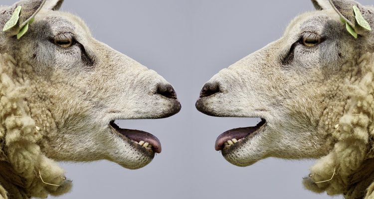 découvrez des techniques de communication persuasive efficaces pour influencer votre public, améliorer vos présentations et créer des relations solides. apprenez à convaincre avec des stratégies éprouvées et à susciter l'adhésion de vos interlocuteurs.