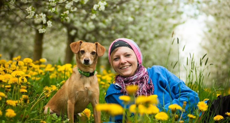 découvrez l'art du management d'équipe avec nos conseils et stratégies pour optimiser la collaboration, renforcer la motivation et atteindre vos objectifs communs. transformez votre équipe en une force efficace et soudée.