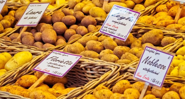 analyse approfondie du marché pour identifier les tendances, les opportunités et les défis, afin d'optimiser votre stratégie commerciale et de maximiser votre succès.