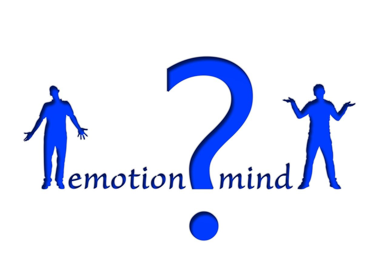 découvrez comment prendre des décisions éclairées grâce à des informations pertinentes et fiables. apprenez à analyser les données et à évaluer les options pour améliorer vos choix au quotidien.